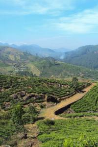 View of the Seven Virgin Hills from the Agarawatta Division Courtesy of Bhagya Senaratne 